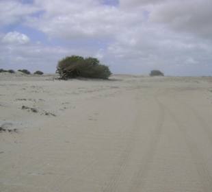 Buggy tour lagoa de paraiso