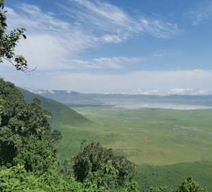 Blick in den Einbruchkrater Ngorongoro 