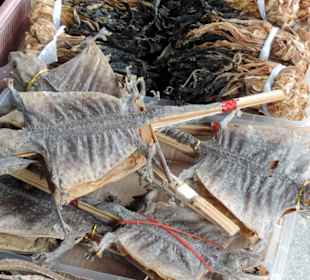 Singapur dzielnica indyjska