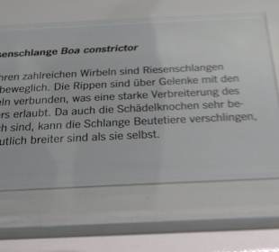 Staatliches Naturkunde Museum