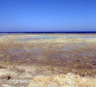 W drodze do Zatoki Żółwi