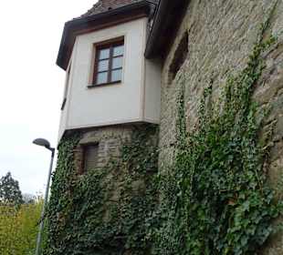 Stadtbefestigung