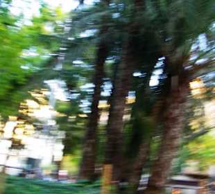 Zu schnell mal wieder