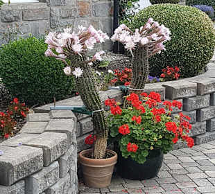 Wandern Schmallenberg