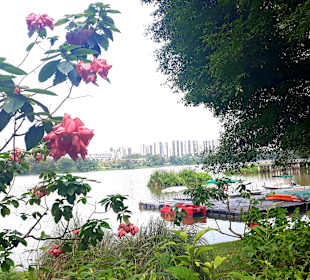 Jurong Lake und Gärten