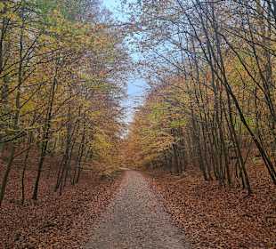 Wandern Binz auf Rügen
