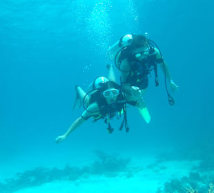 Beim zweiten Tauchgang