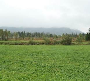 Unterwegs auf dem Moor-Erlebnis-Pfad von Inzell 