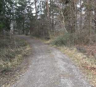 Rundwanderung durch den Rauhen Rammert Hemmendorf