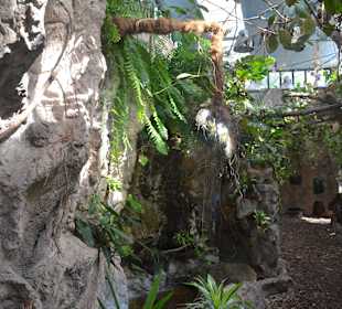 Zoo