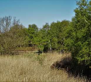 Impressionen vom Schwimmenden Moor