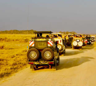 Was gibt's denn hier zu sehen...