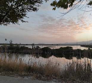 Naturpark S'Albufera