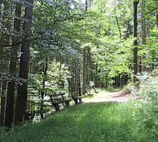 Wandern Glashütten