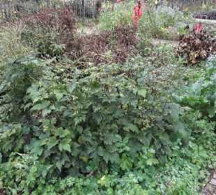 Umweltbildungszentrum Listhof