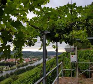 Picknick mit Mainblick
