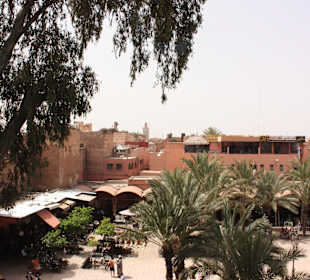 Ausblick zu den Störchen und den Place