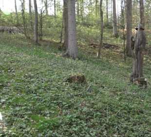 Naturtheater