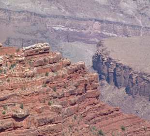 Parco nazionale Grand Canyon