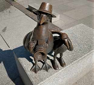 Stadtrundgang Kolobrzeg/Kolberg