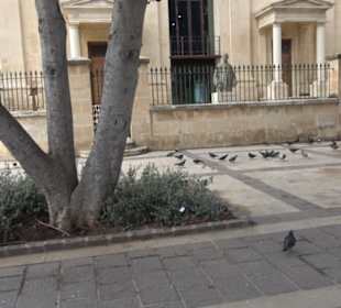 Lower Barrakka Garden