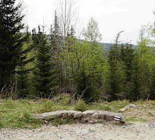 Berg Schneekoppe/Śnieżka