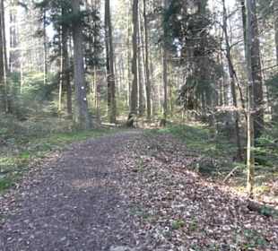 Wanderung Florianrunde