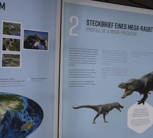 Dinosaurier Museum Altmühltal