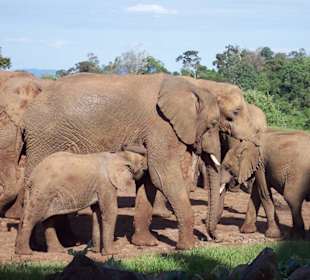 Bild vom Card Partner