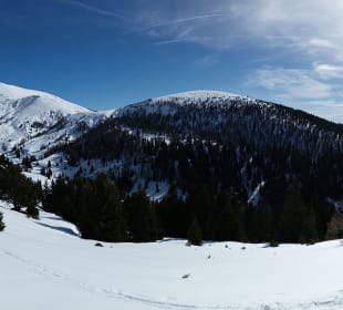 Ausblick