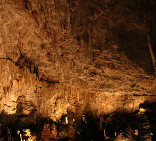 Grotta Gigante