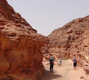 Kolorowy Wąwóz Synaj