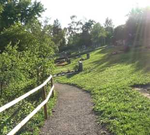 Friedhof Hirschau