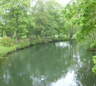 Frühling im Luitpoldpark in Bad Kissingen