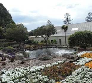 Kleiner Garten am Rande der Stadt