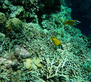 Einfach nur genießen