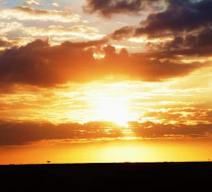 Sonnenaufgang Masei Mara