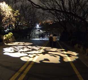 La strada per Seoul Tower