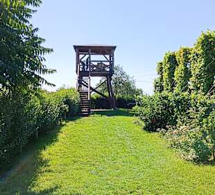 Aussichtswarte