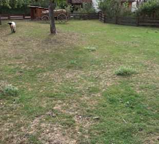 Erlebnispark Tripsdrill