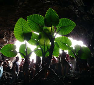 Ausflug Cueva des los Verdes