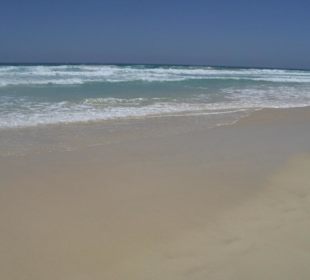 Parco naturale delle dune