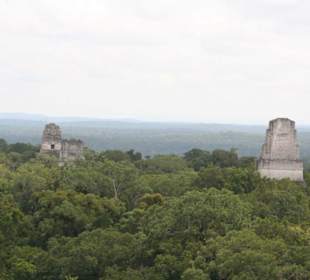 Tikal