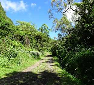 Der Spazierweg zum Grand Étang