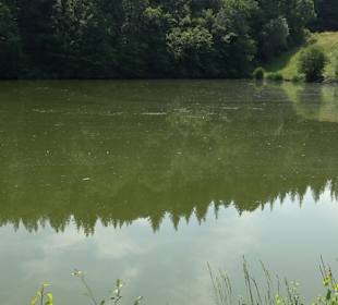 Rundwanderung Klingenbachtal - Sulzbachsee