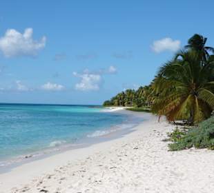 Traumstrand auf der Isla Saona