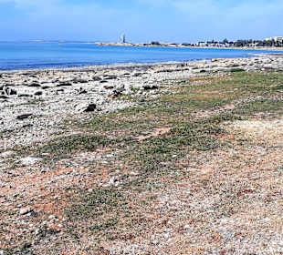 Der Weg ist das Ziel