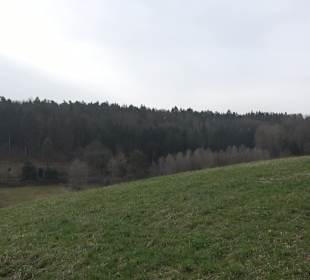 Unterjesinger Wengertwegle