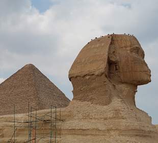 Sphinx von Gizeh
