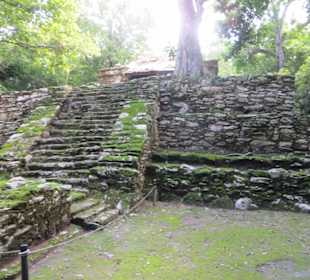 Ausflug mit Daniel zu den Maya Ruinen in Muyil